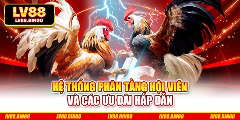 Hệ thống phân tầng hội viên và các ưu đãi hấp dẫn
